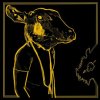 Shakey Graves - Roll the Bones X / Vinyl / 2LP [2 LP]