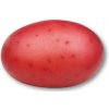 Sadbové zemiaky Baltic rose 5 kg