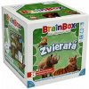 BrainBox Zvieratá SK