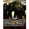 Warhammer 40,000 Space Wolf