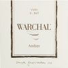 Warchal Amber 701 E