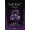 Zaklínač VII.: Pani jazera - Andrzej Sapkowski, Brian Terrero ilustrátor, Jakub Šimjak ilustrátor