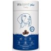 WePharm WeJoint Plus Tasty velké plemeno 30 ks