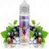 TI Juice Bar Series Blackcurrant Menthol Shake & Vape 10 ml