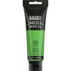 Liquitex Basic akrylová farba 224 hookers green hue permanent 118 ml