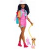 Barbie Brooklyn Dobrodružstvá v prírode Bábika a príslušenstvo Súprava JJV60