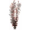 biOrb Plastová rastlina - Sea Fan karmínová 49 cm