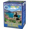 Everest Ayurveda DALCHINI - Dýchacie cesty, bylinný čaj 100 g (Sypaný himalájsky ajurvédsky bylinný čaj)