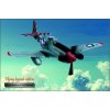 Lietadlo North American P-51 D Mustang - ceduľa 29cm x 20cm Plechová tabuľa