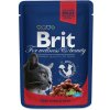 BRIT - Kapsička BRIT Premium Cat Beef Stew & Peas 100 g