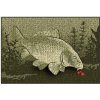 Rohožka Delphin 60x40cm CatchME! Kapor