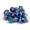 Sram AM ROTOR BOLT KIT TI T25 SIL Q