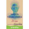 E-kniha Do raja - Hanya Yanagihara