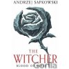 Blood of Elves: The bestselling novel which inspired season 2 of Netflix´s The Witcher - Andrzej Sapkowski