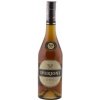 IVERIONI 5* 40% 0,5L (čistá fľaša)