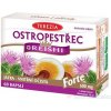 TEREZIA PESTREC + REISHI Forte cps 1x60 ks