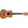 Cascha HH 2035E Concert Mahogany Ukulele Set EQ