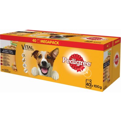 Pedigree kapsičky Adult Megapack kura hovädzina morka hovädzina s jahňacím v šťave 40 x 100 g