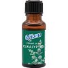 Q Home Vonný olej Eukalyptus 18 ml