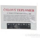 Teplomer -  osobný Vitalos čelový