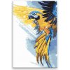 Diamantové maľovanie - Papagáj v lete - 40x60 cm, bez dřevěného rámu - výroba CZ
