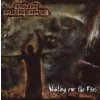 Pain Principle - Waiting For The Flies [CD]