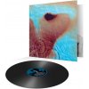 Pink Floyd: Meddle (Re-Issue) - Vinyl (LP)