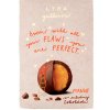 LYRA GROUP s.r.o. LYRA GULLIVER Mango 100g