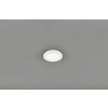 TRIO Reality R62921001 Camillus stropné svietidlo LED 1x10W 850lm 3000K IP44