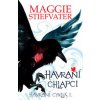 Havraní chlapci - Maggie Stiefvaterová