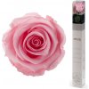 Darčeková stabilizovaná ruža - svetlo ružová