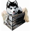 ZUTY Maľovanie podľa čísel HUSKY V KRABICI Rámovanie vypnuté plátno na rám Rozmer 80x100 cm