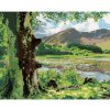 Diamondi Diamantové maľovanie - PRÍRODA A HORY, ÍRSKO (TED DAVIS) Rámovanie: vypnuté plátno na rám, Rozmer: 40x50 cm