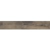 BALDOCER Ceramicas Northwood Elm 20x120 R Tmavo hnedá