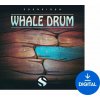 Soundiron Whale Drum (Digitálny produkt)