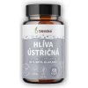 Blendea Hlivá Ostricová 90 kapsúl