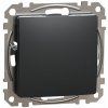 Schneider Electric Slovakia spol. s r.o. Sedna Design - SDD114904 - Záslepný kryt - Antracit