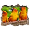 Díra 3D fototapeta nálepka Papagáje na vetve 95x64 cm