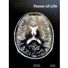 Power of Life - Nenutil Marek