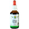Muňa - Wira AF tinktúra 50 ml od Salvia Paradise