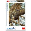 Dino Leopard škvrnitý 1000
