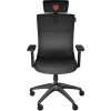 GENESIS ergonomické herní křeslo ASTAT 200 černé (NFG-1943)