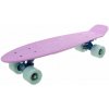 Penny board 22