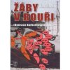 Žáby v bouři - Operace Barbarossa naruby - Drnek Jan