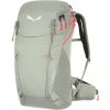 Salewa Alp Trainer 20 Wsl sivá