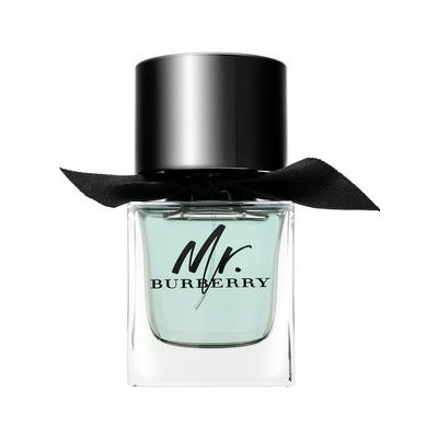 Burberry Mr. Burberry toaletná voda pre mužov 50 ml