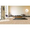 PARADOR Basic 5.3 SPC Dub studioLine brúsený kartáčovaná štruktúra 1743008 - 2.18 m2