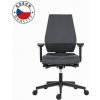 Powerton ERGO SIMA Kancelářské ergonomické křeslo, Šedé