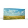 Príroda Letné poludnie | Obrazy Vintessia Rozmery panoráma: 60x120