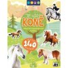 Samolepková knížka Koně